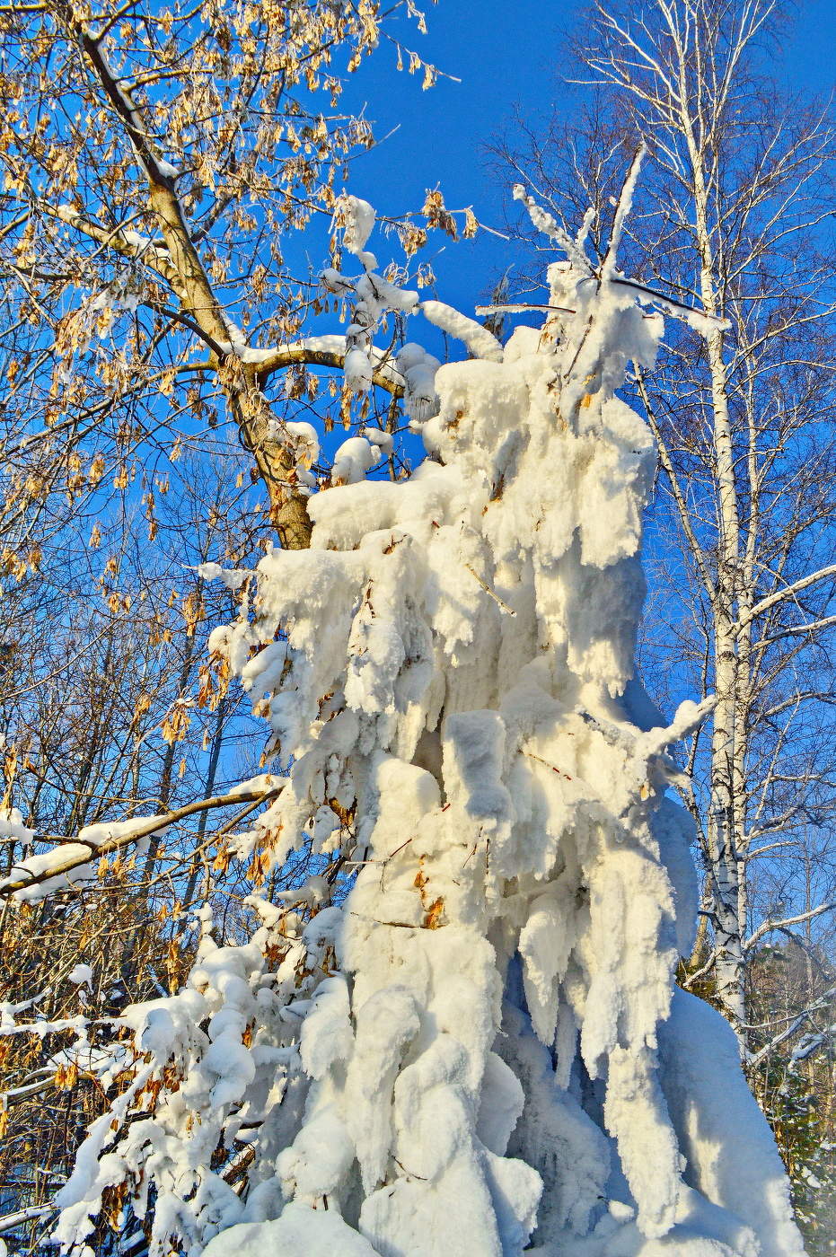 во всей красе