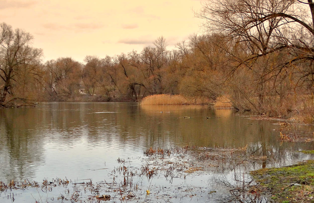 Весенняя картина