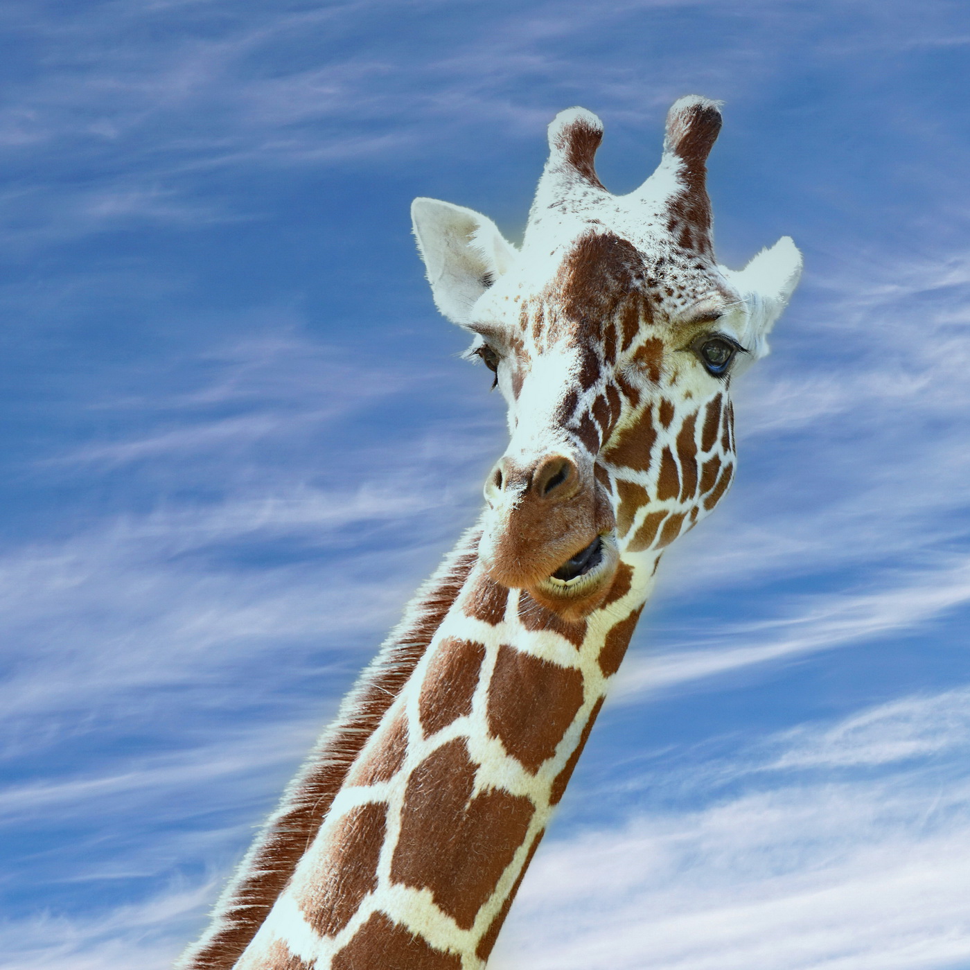 Взгляд с высока.