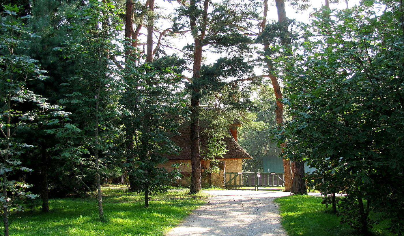 Поленовские аллеи!