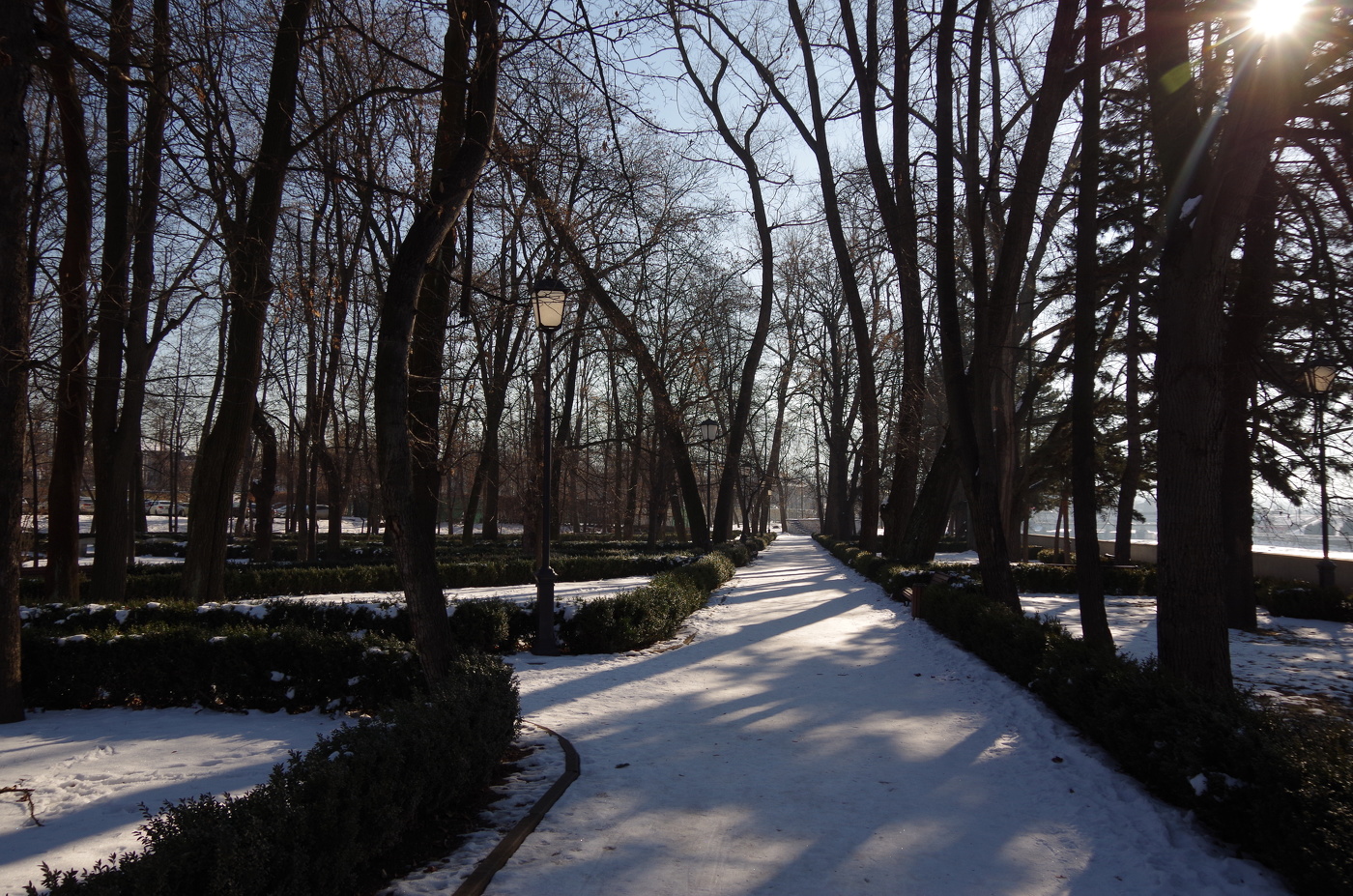 Зима в южном парке