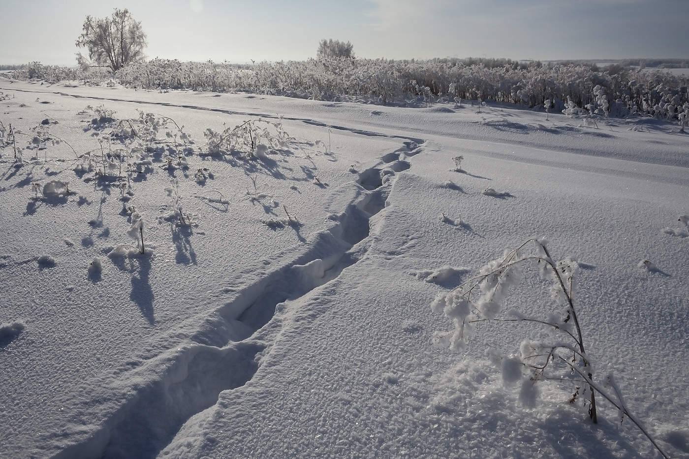 Уходящая пора