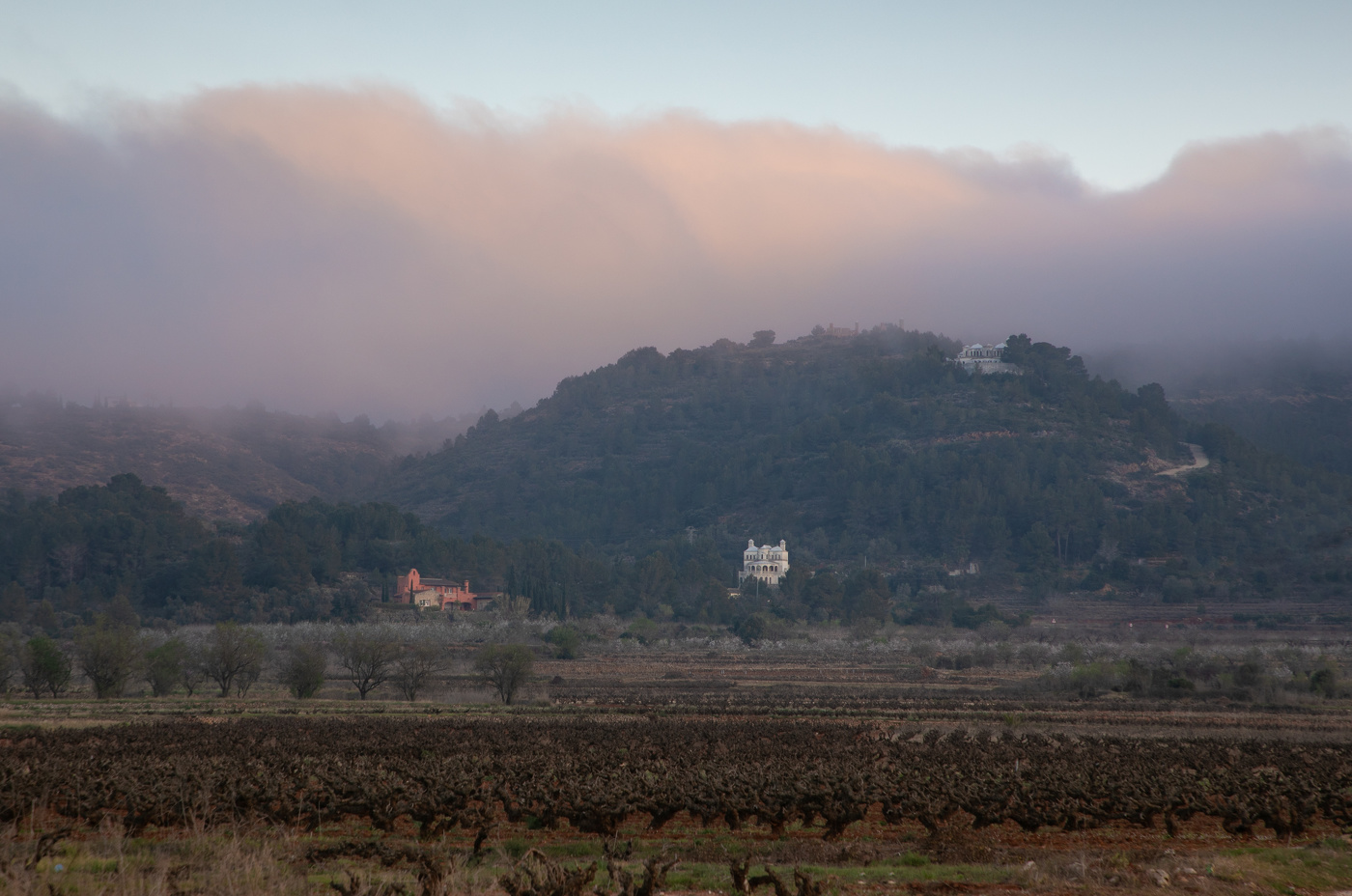 Холмы в тумане