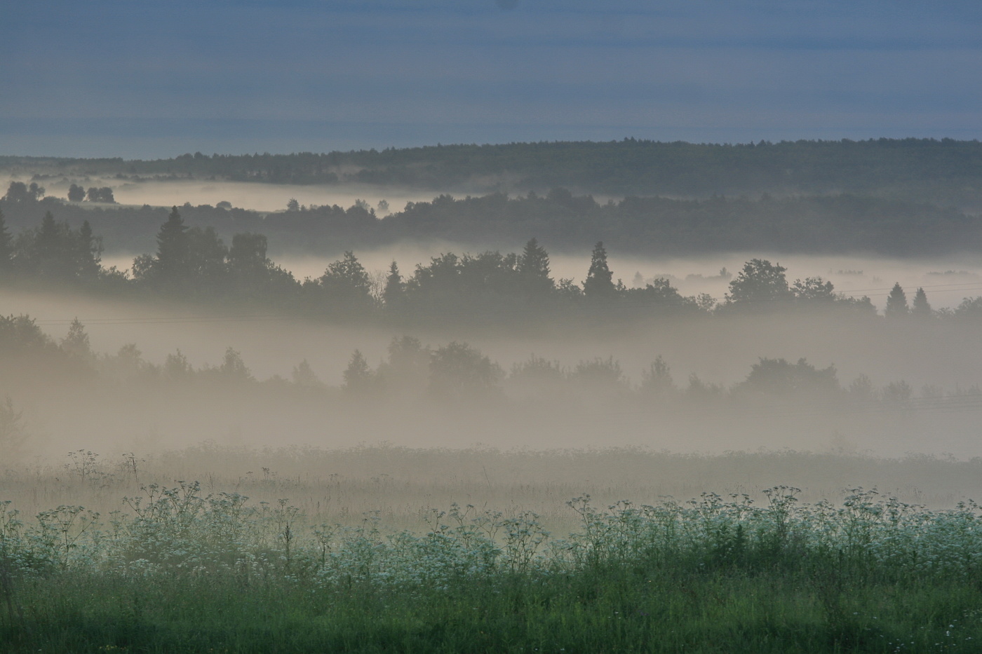 Туманное утро