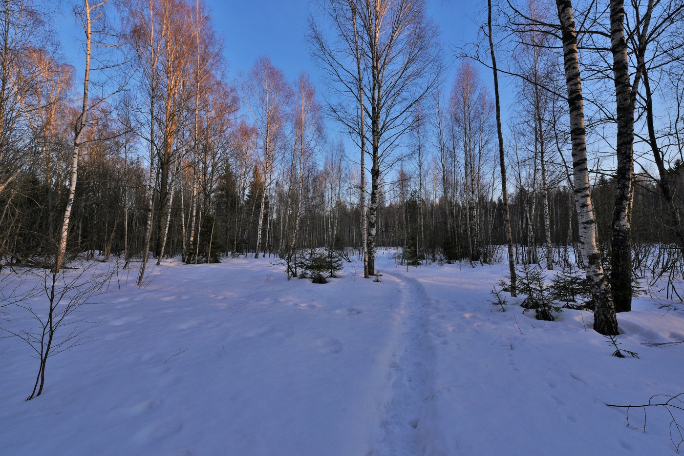 "Был вечер безмятежно тих ..."