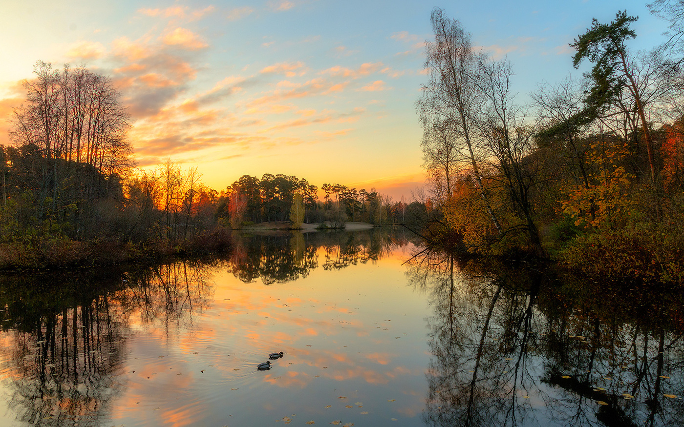 الصباح ، السماء ، البط ، الماء ، السماء ، انعكاس