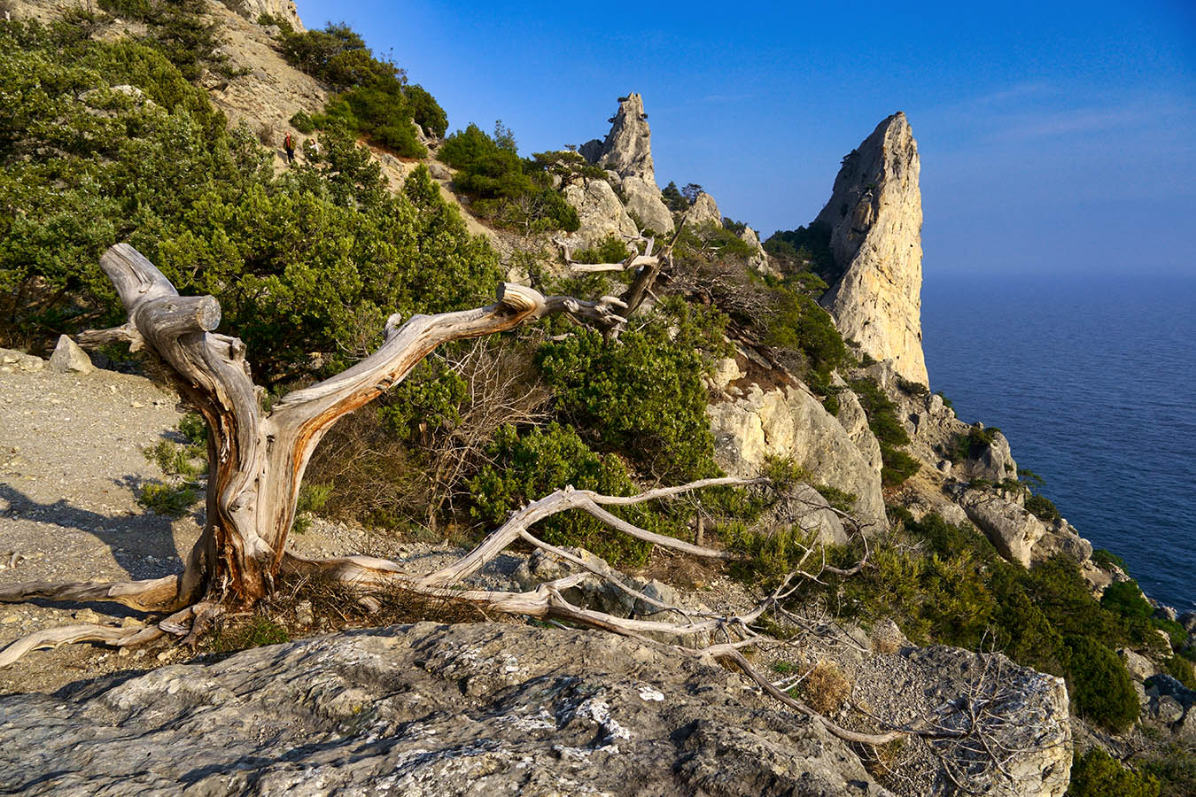 У мыса Чикен