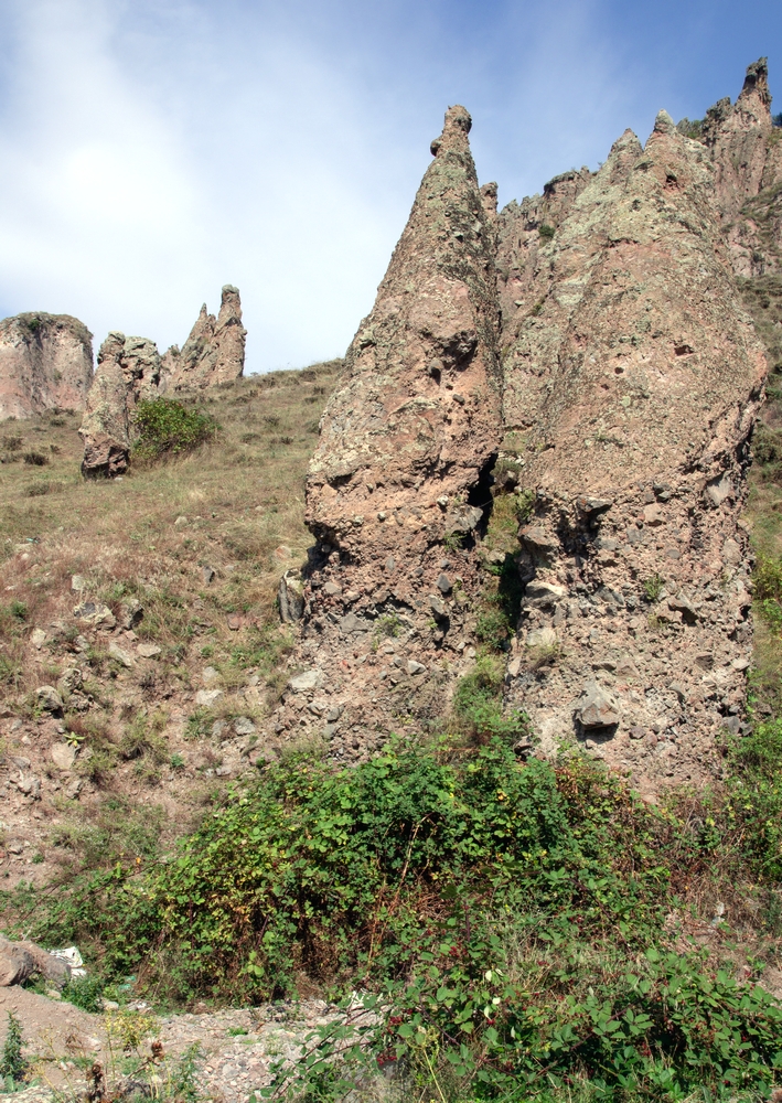 Созерцающие...