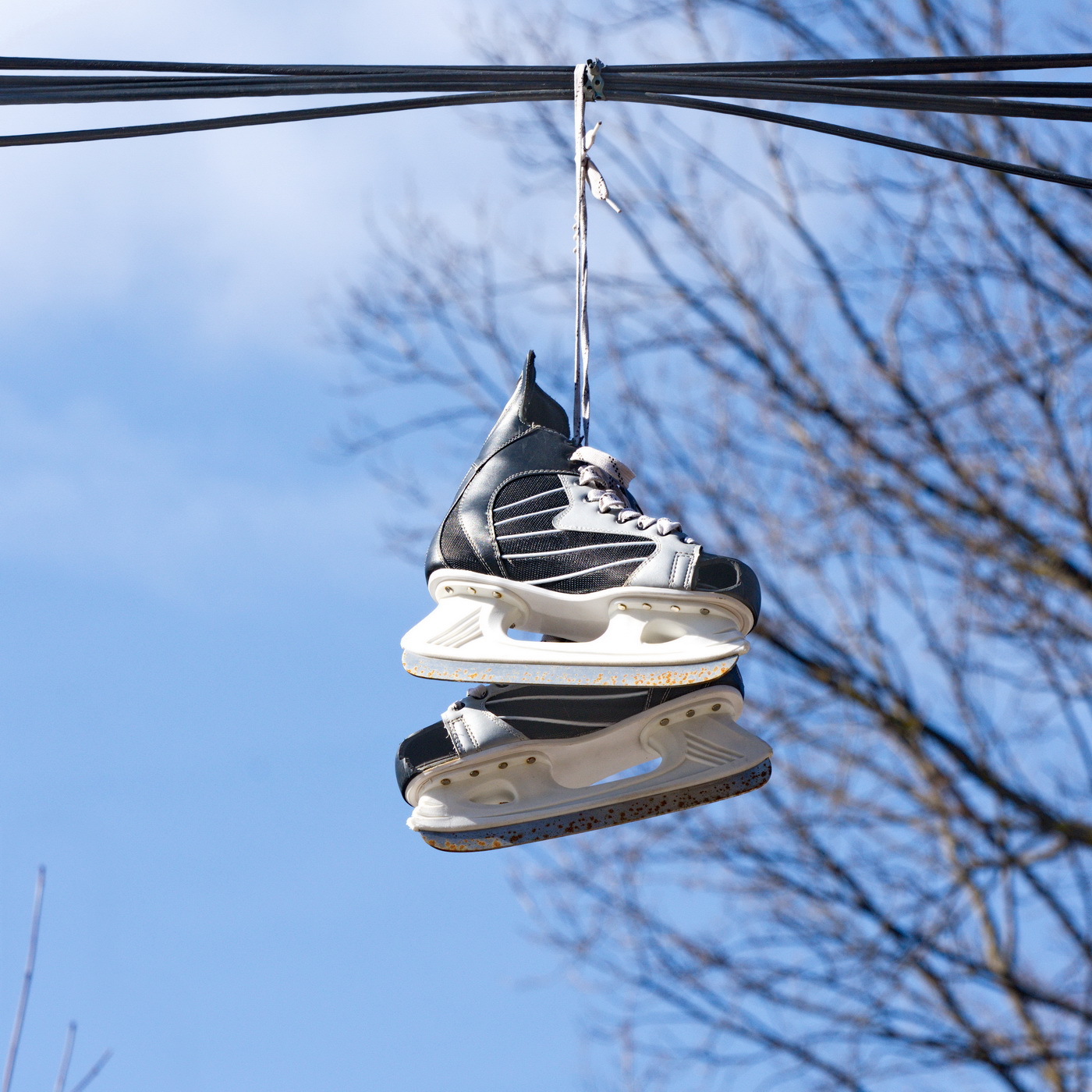 Конец сезона.