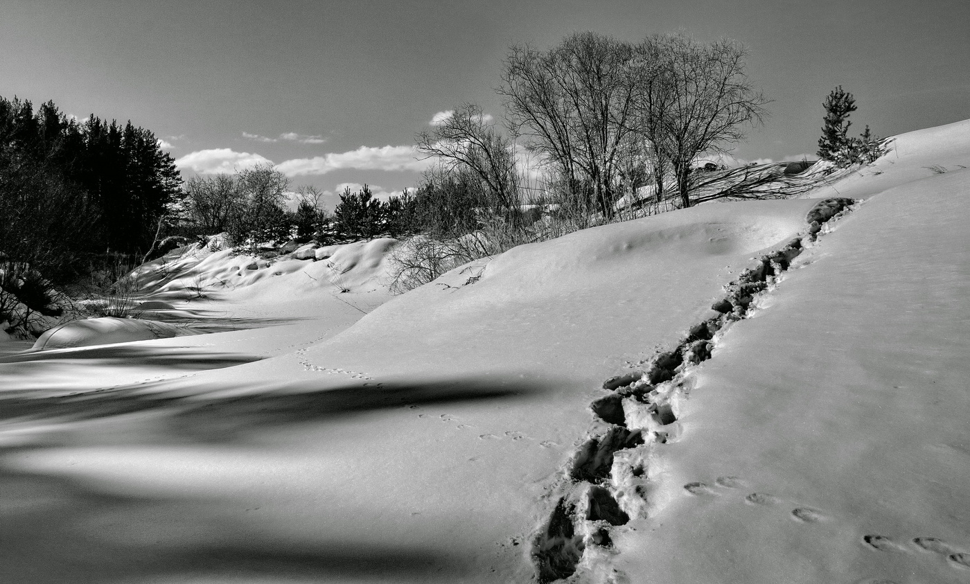 *Мартовским днём.**