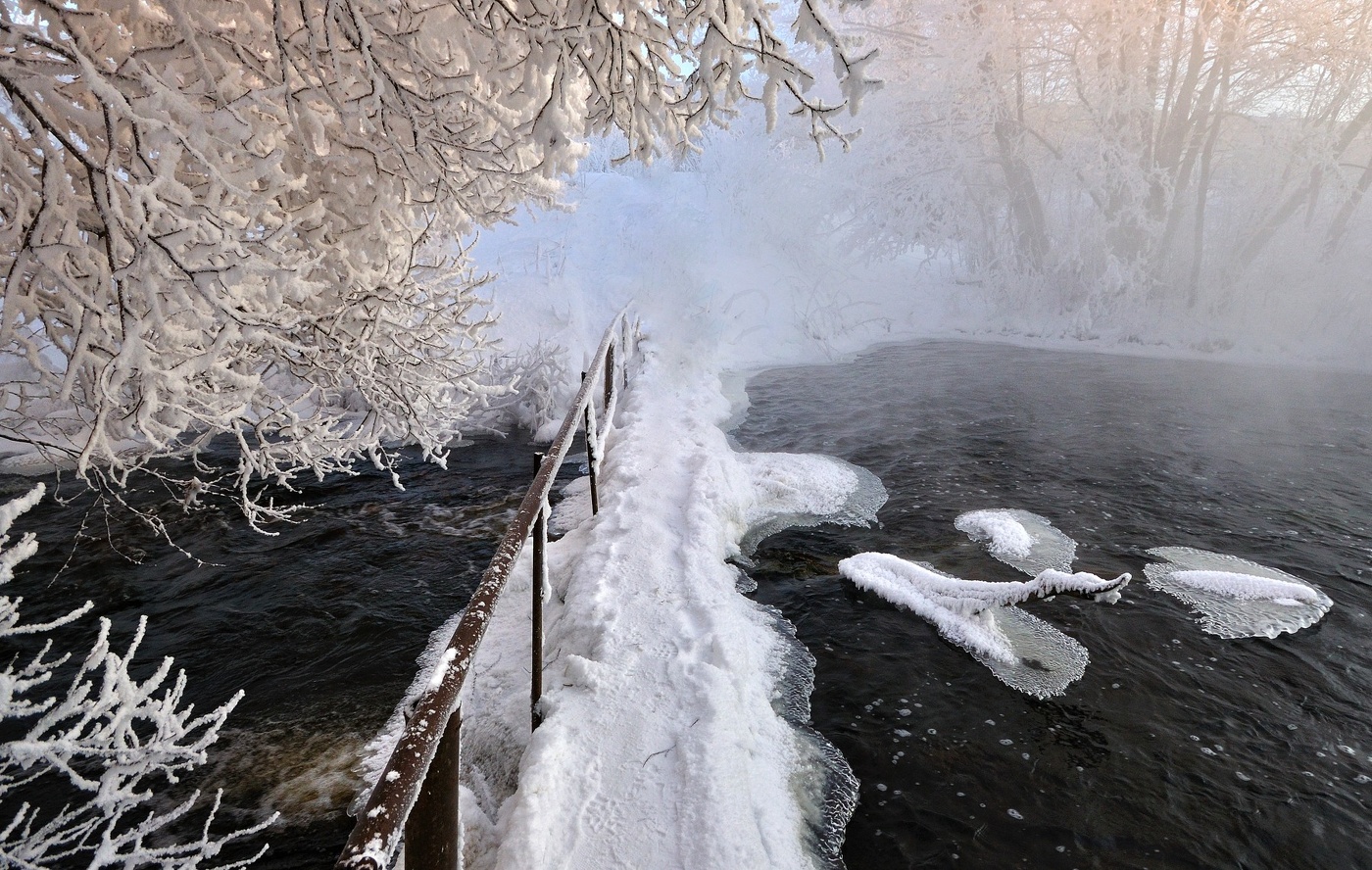 Я из лесу вышел...