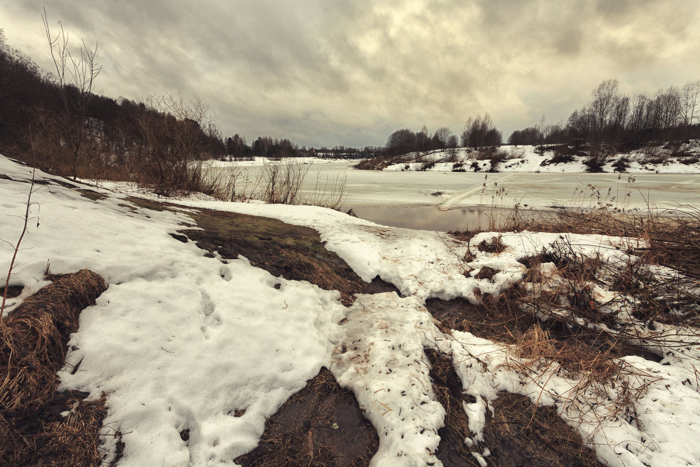 Жизнь вокруг