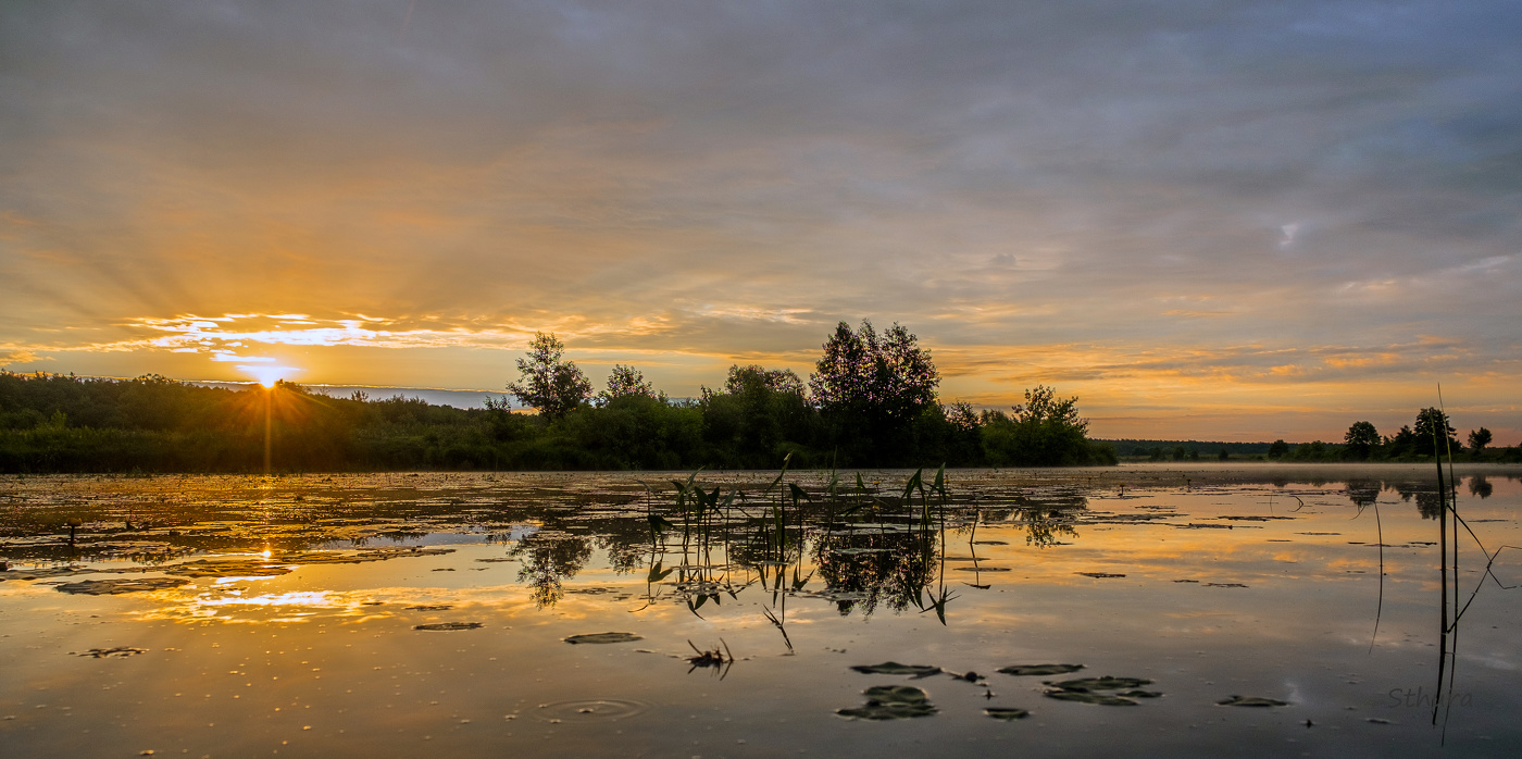 Рассвет в июле.