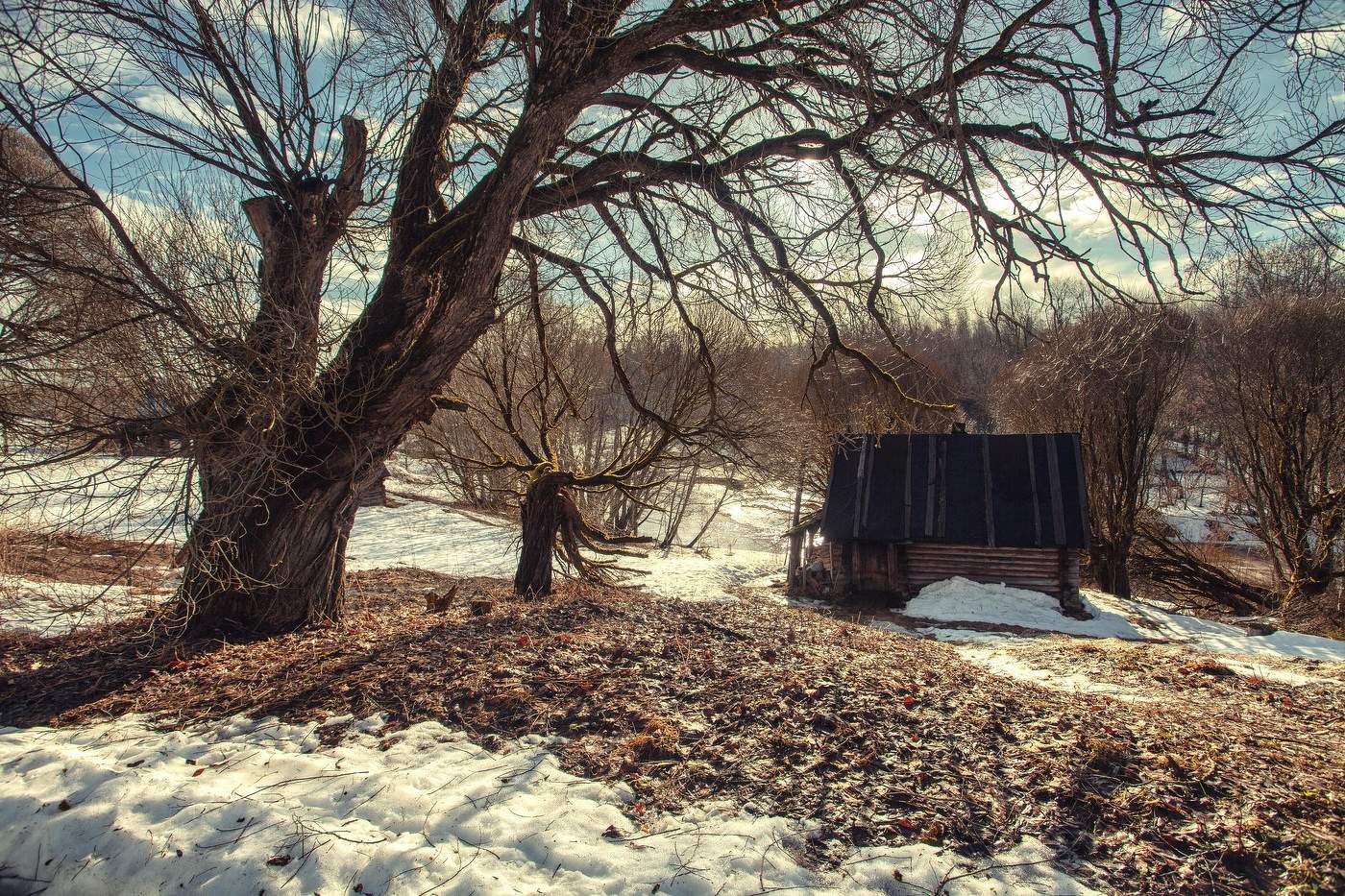 Жизнь вокруг