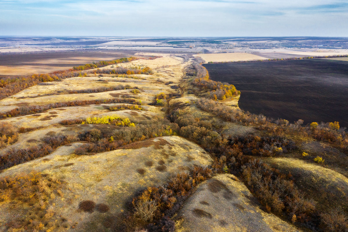 Криворогова балка