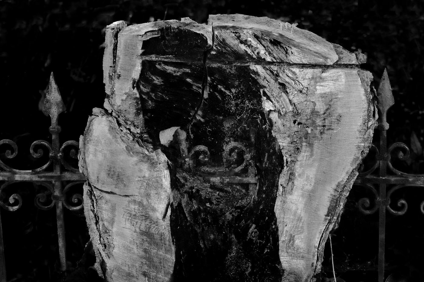 Срастание-2