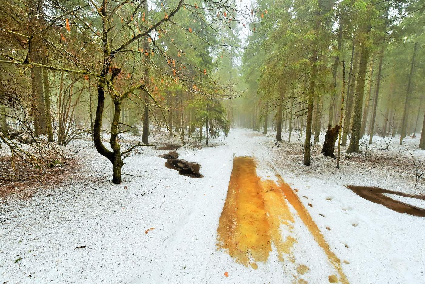 "Еще не наступило пробужденье природы, погруженной в полусон..."