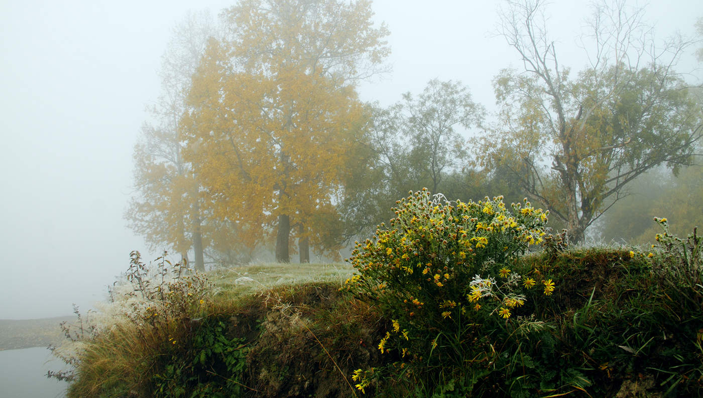 Осенний букет