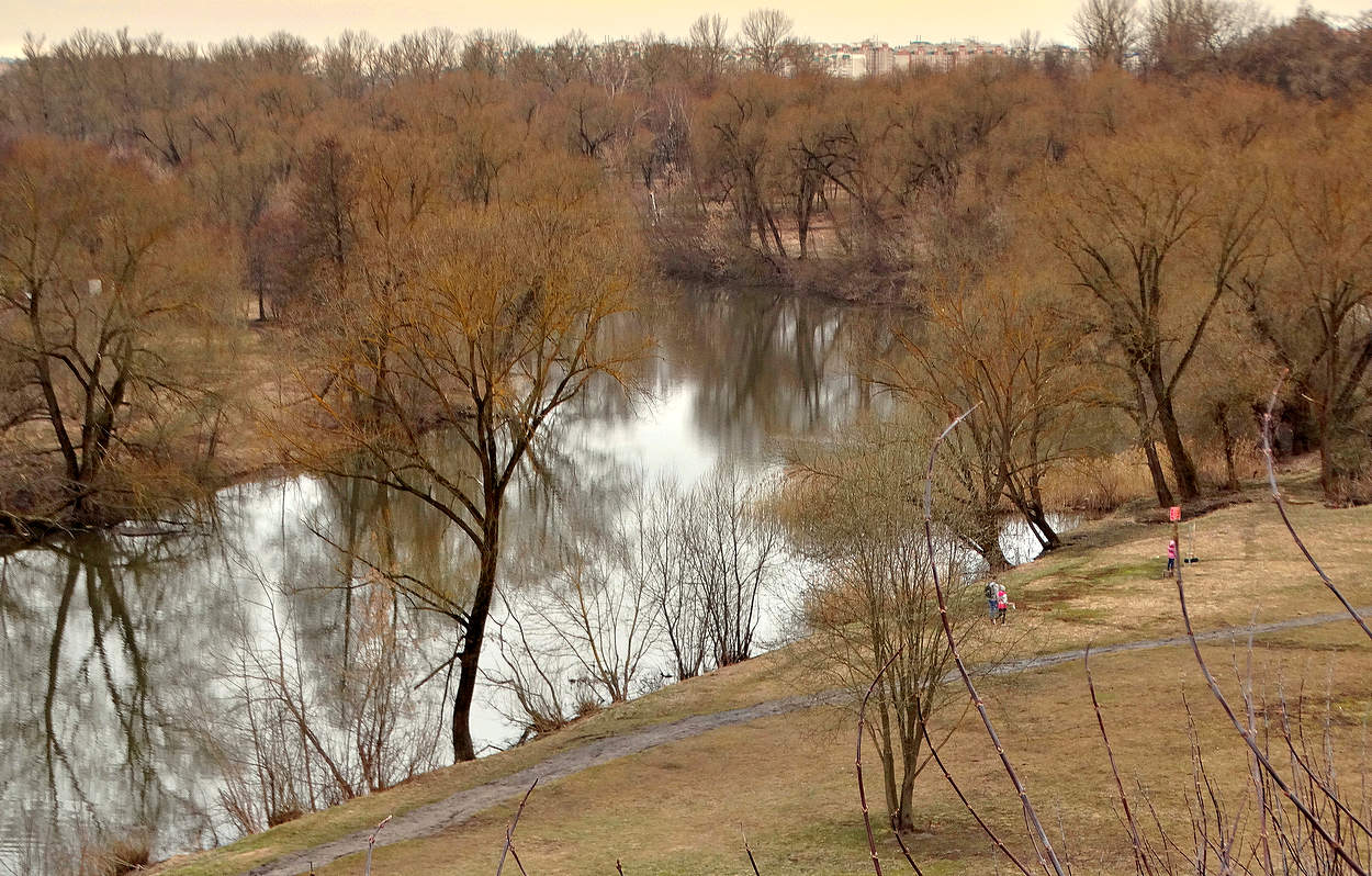 Деревья уж покрылись дымкою весны