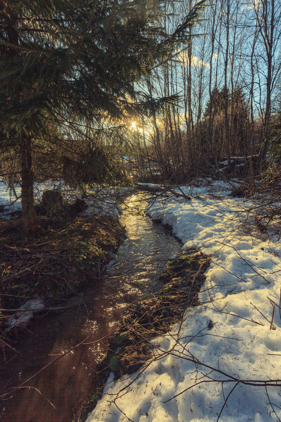 Жизнь вокруг