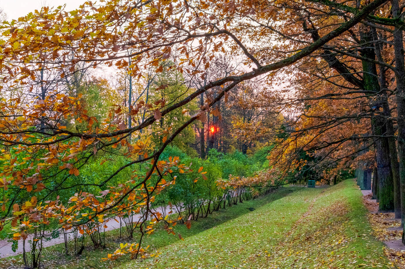 Утро в Екатерининском парке.