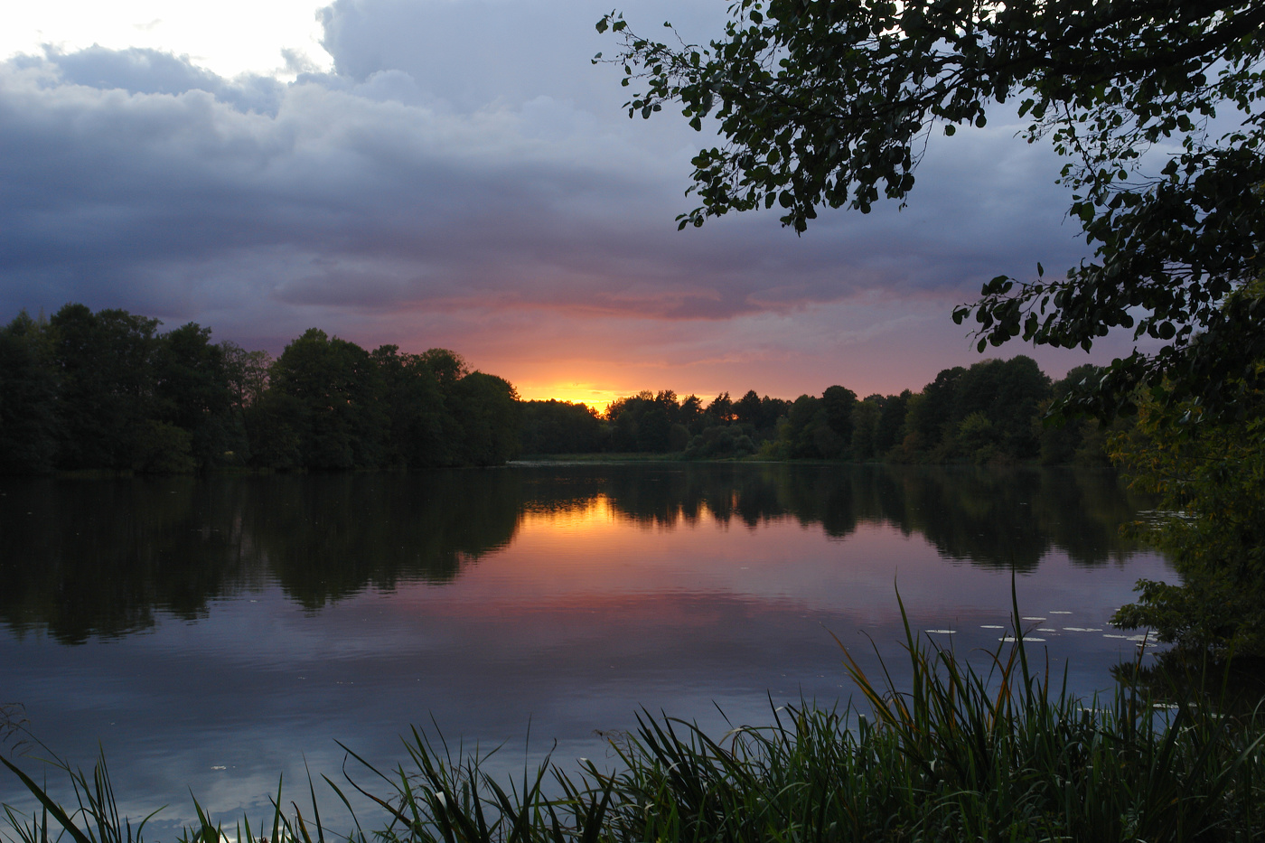 Тихий вечер