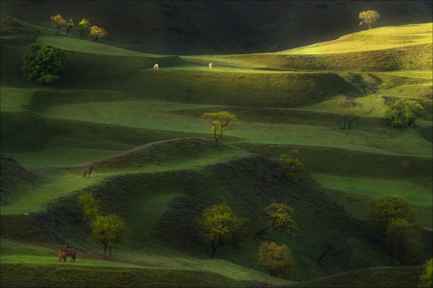 Дагестанская пастораль