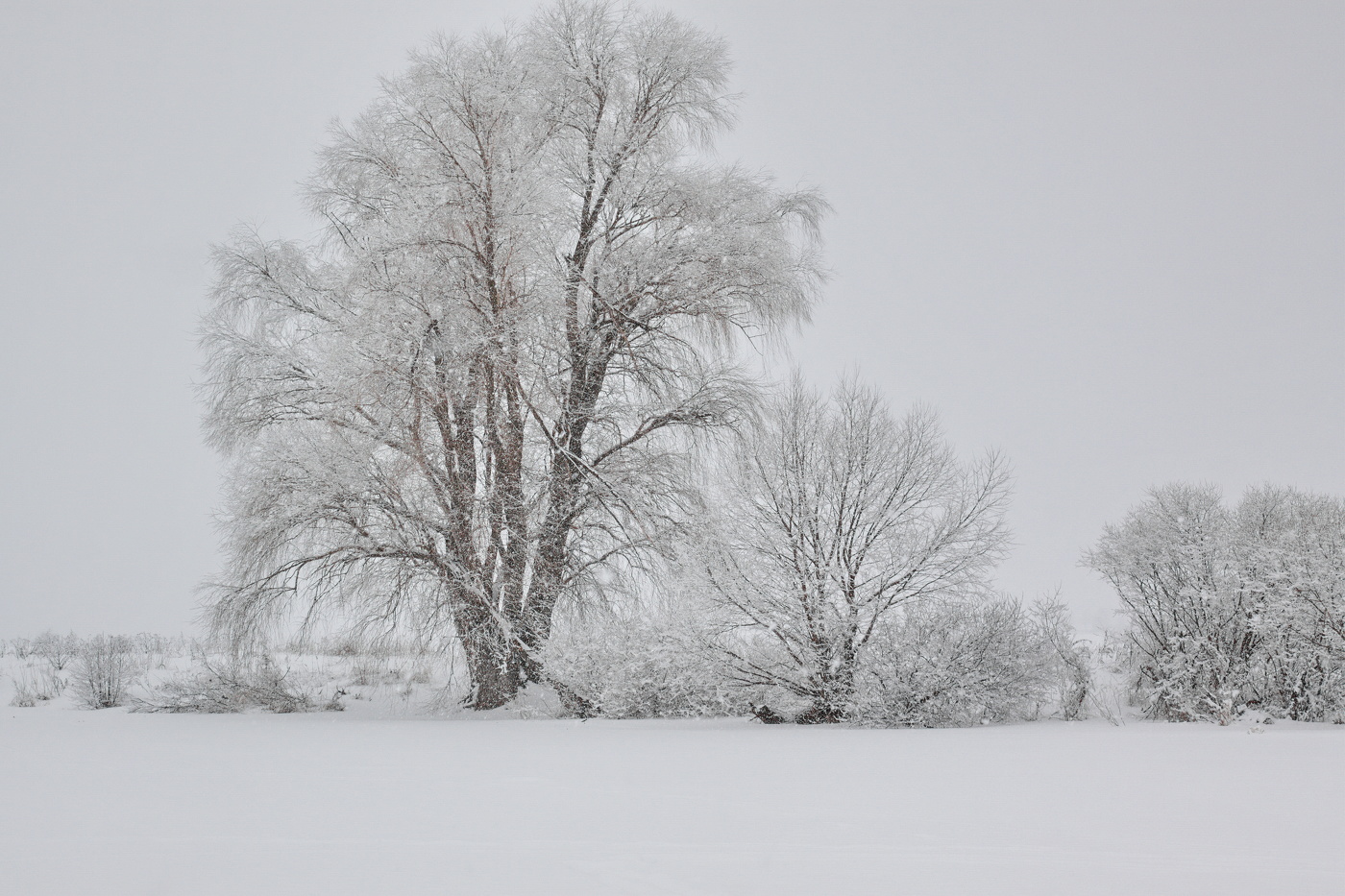 Не заметная весна. Март