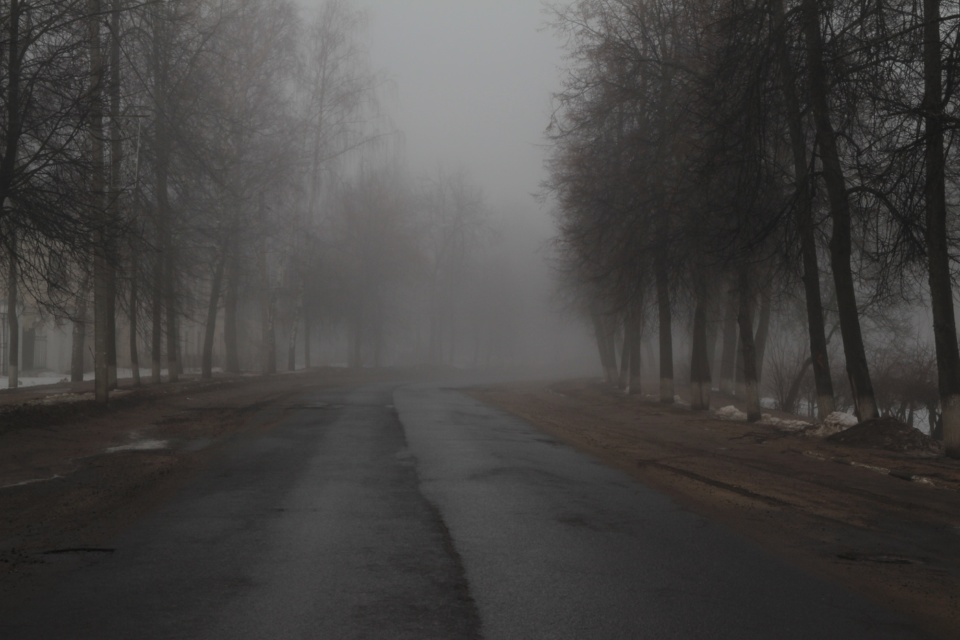 Туман весенний