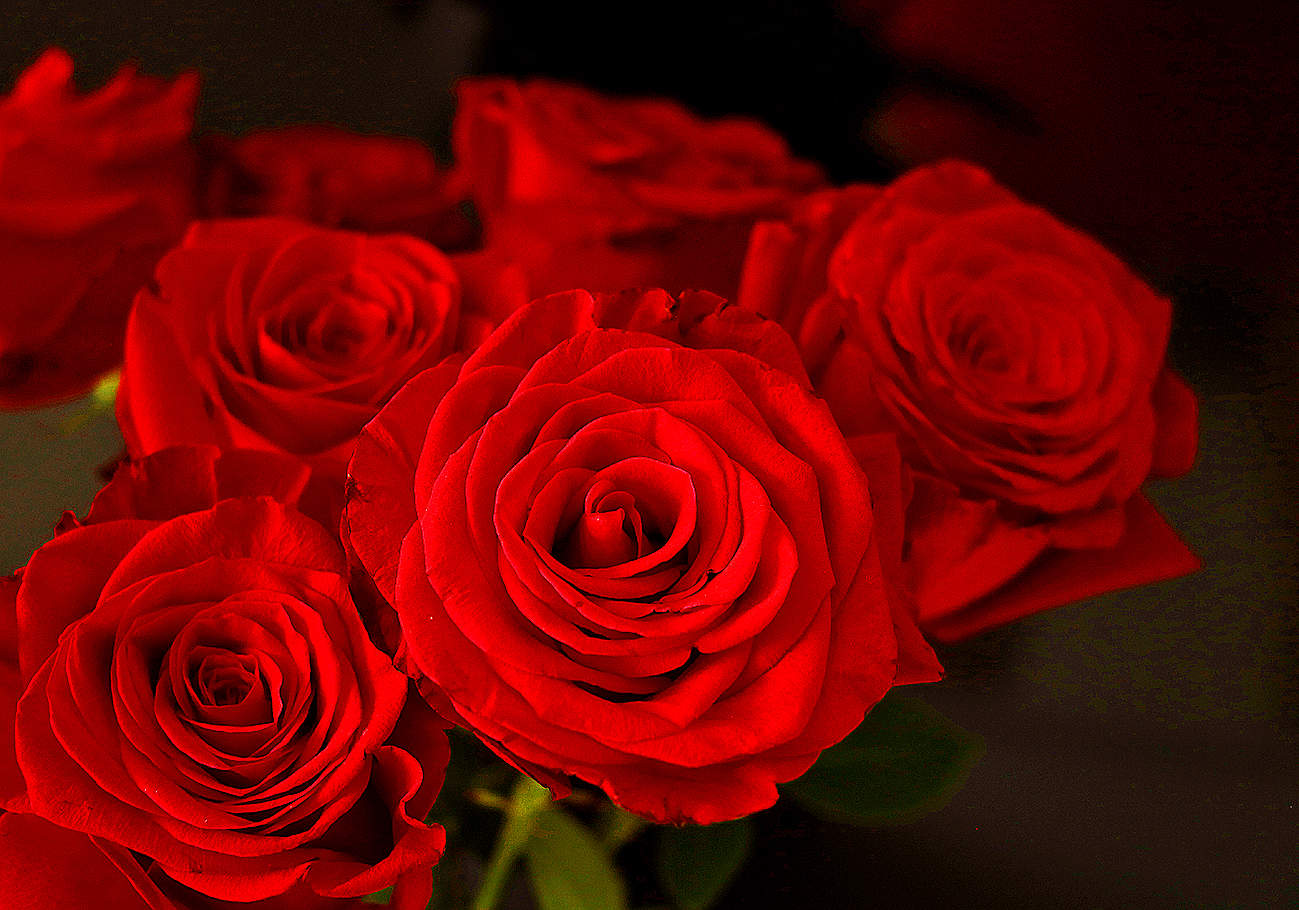 Всё красное