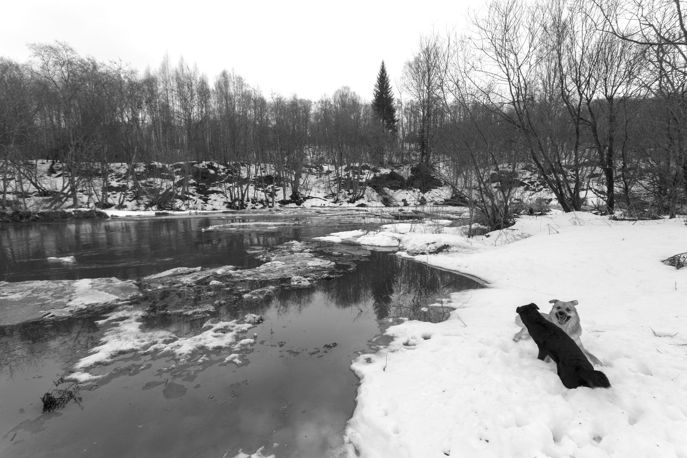 Жизнь вокруг