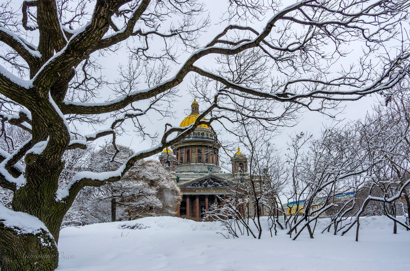 Домик в лесу.