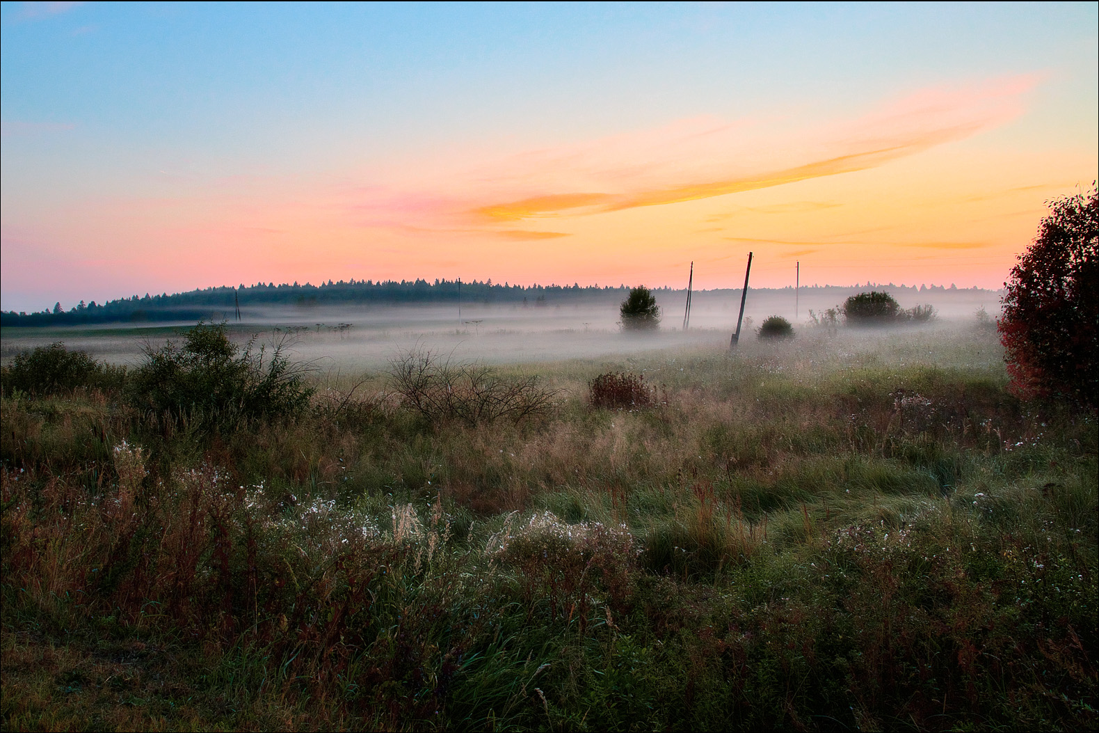 มิสตี้ดอว์น