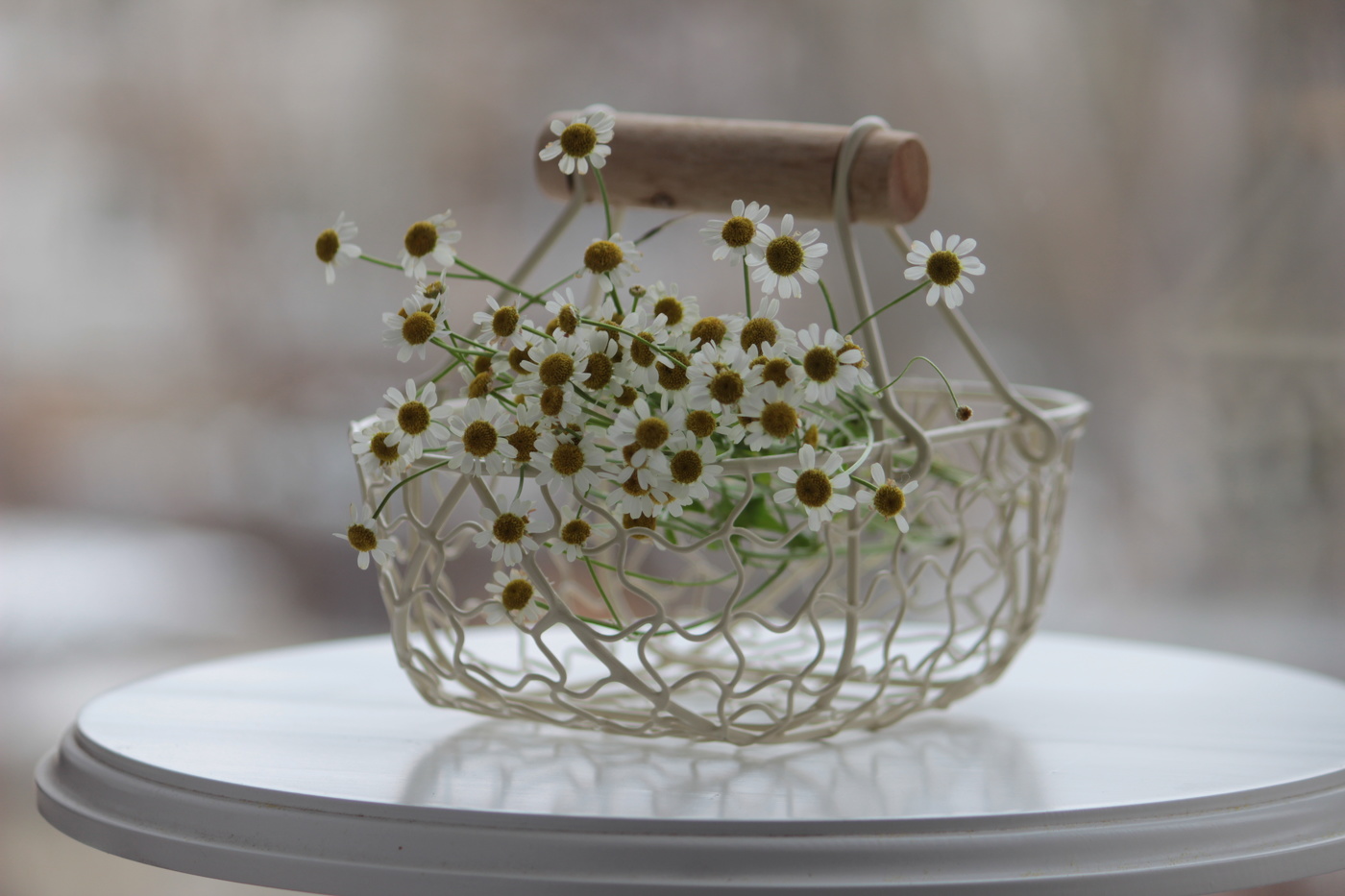 Настроение - Весна!