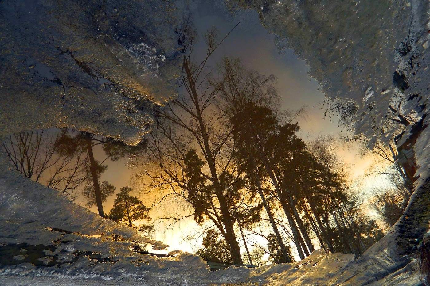 Перевёрнутая весна