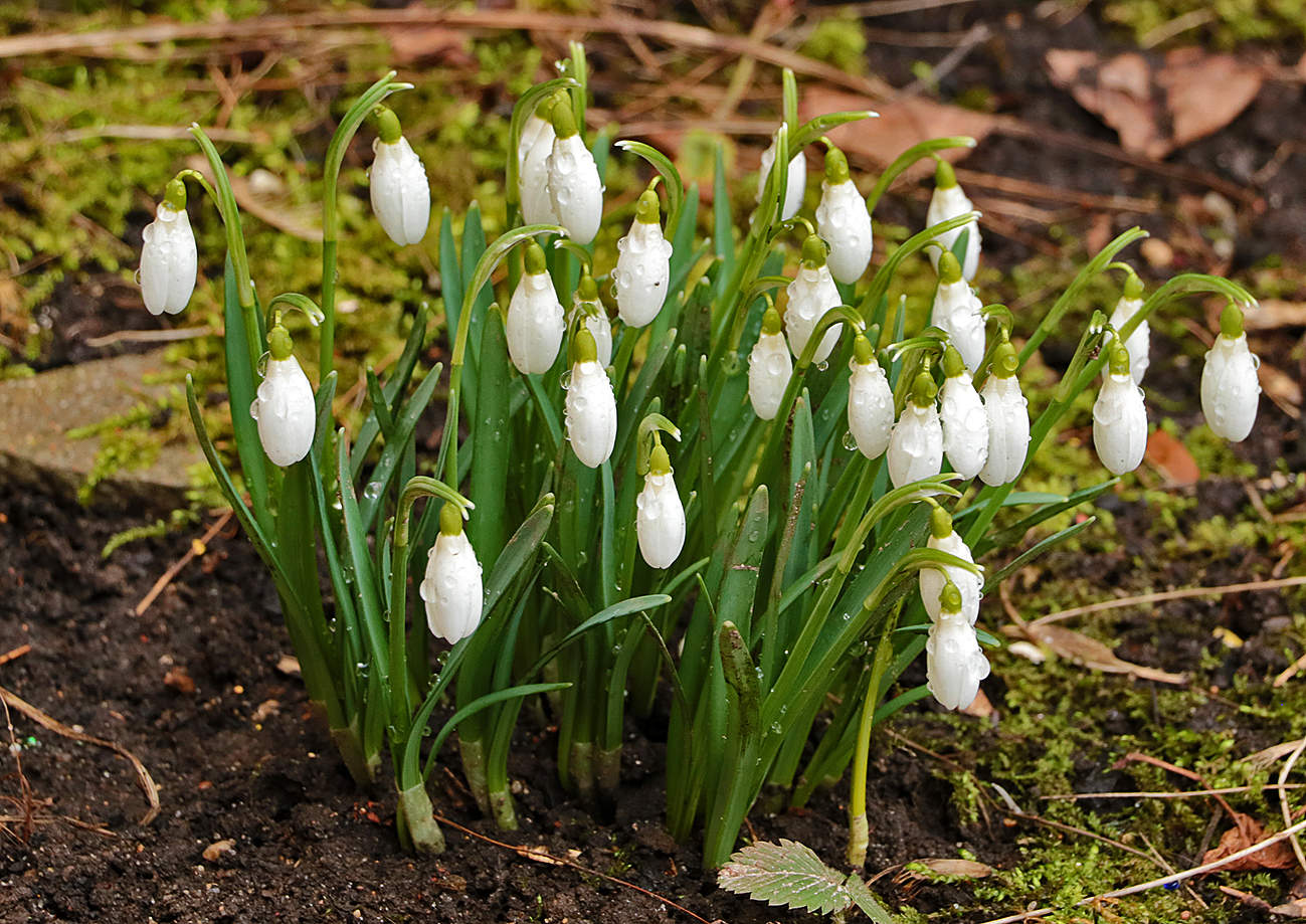 Кажется, весна начинается...