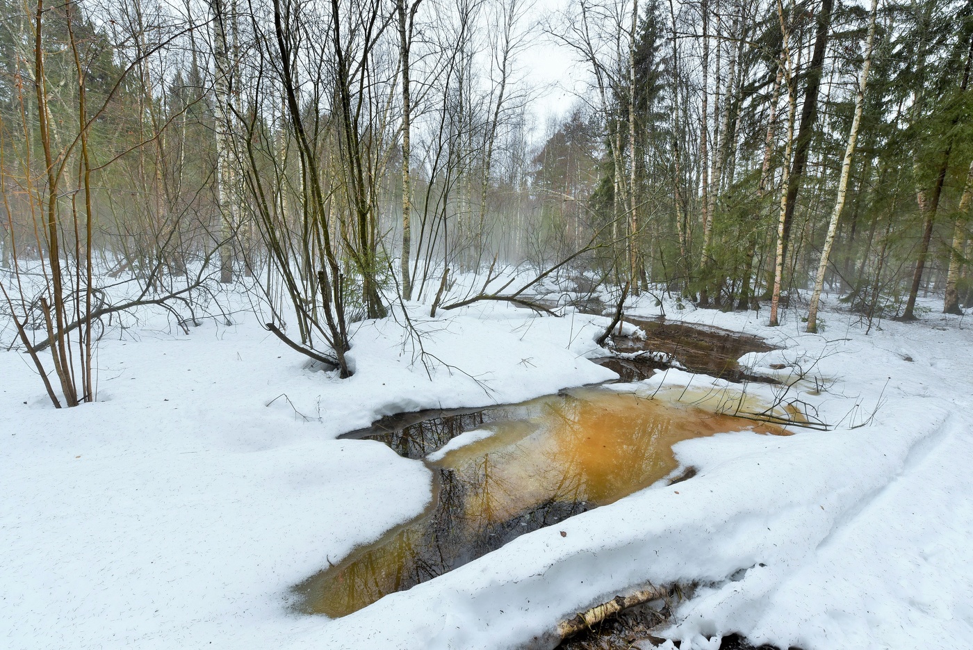 "Деревья были тощими. Был на исходе март ..."
