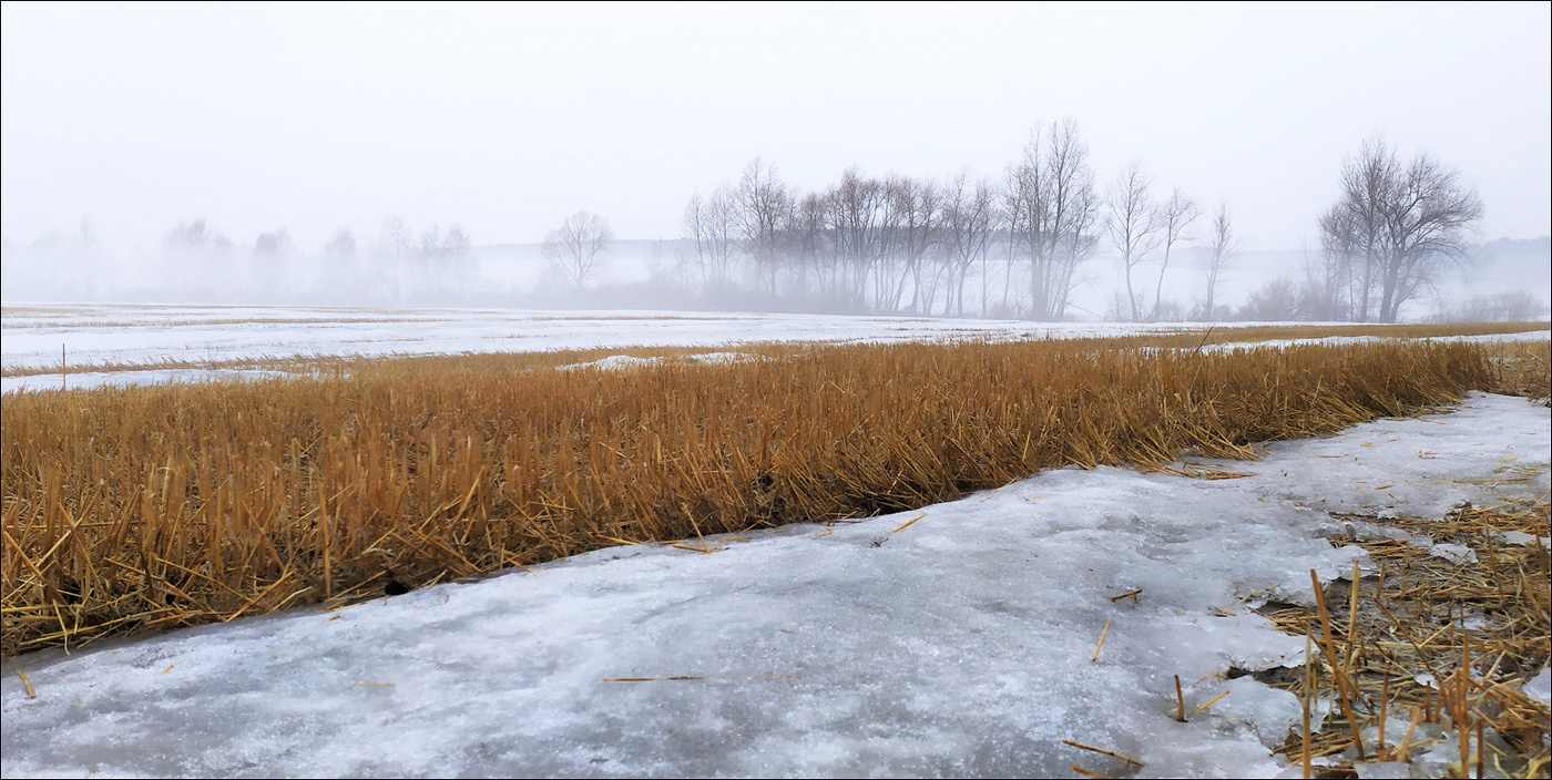 Весна полями пробиралась...