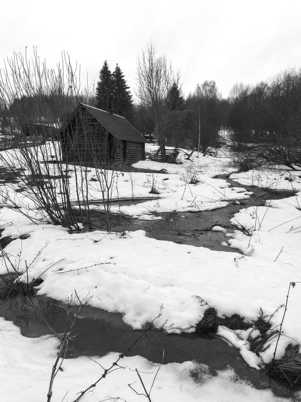 Жизнь вокруг