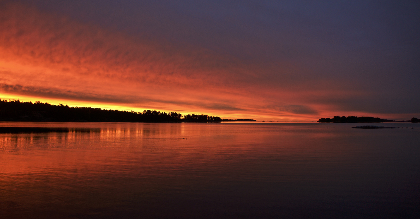 Осенний рассвет