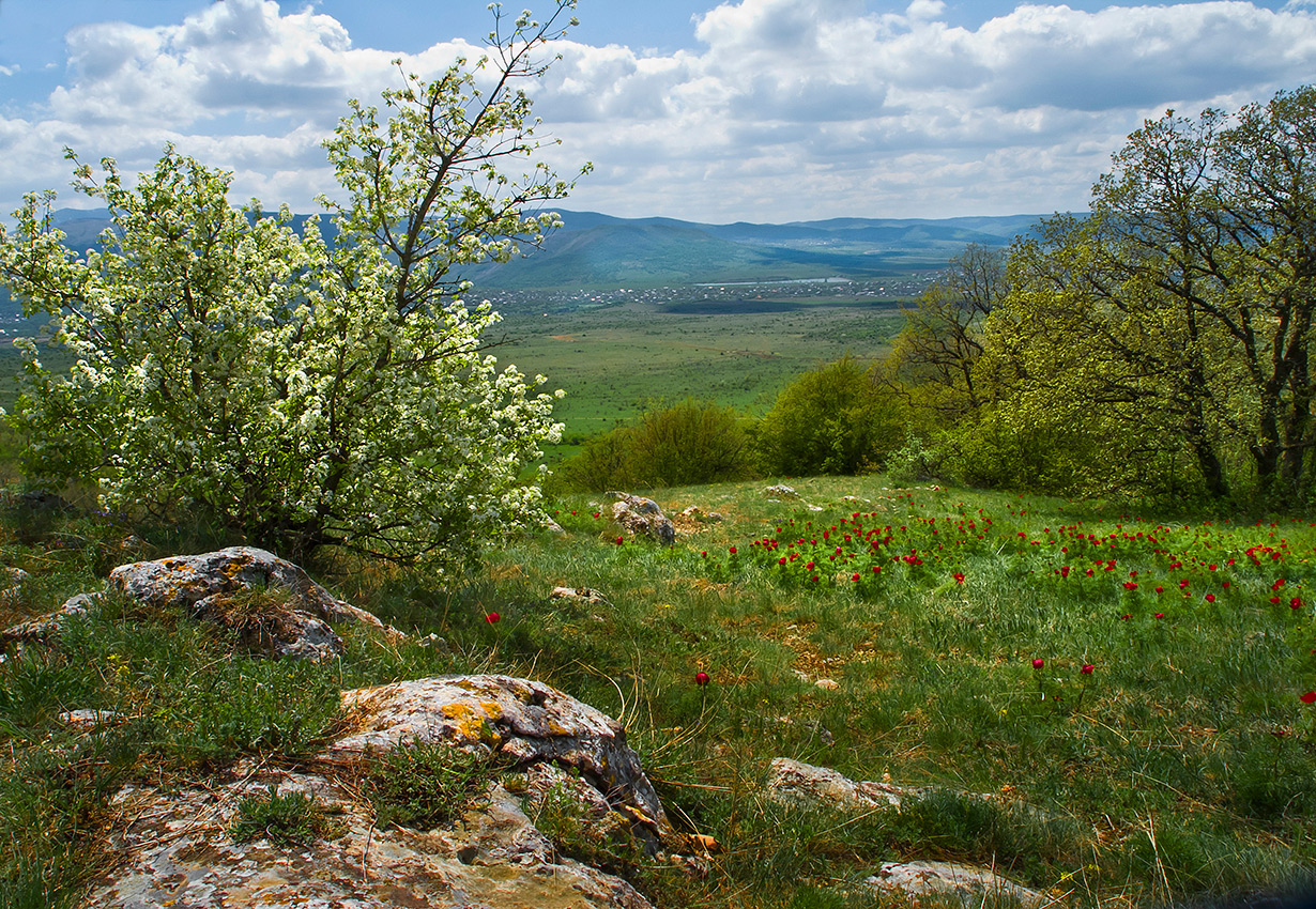 Весна красна.