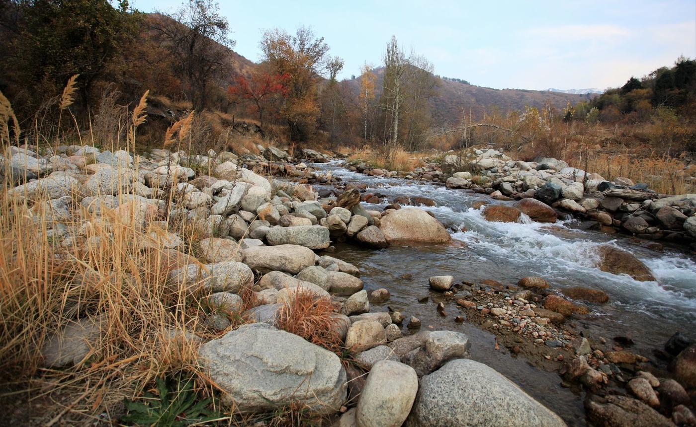 Вспоминая осень