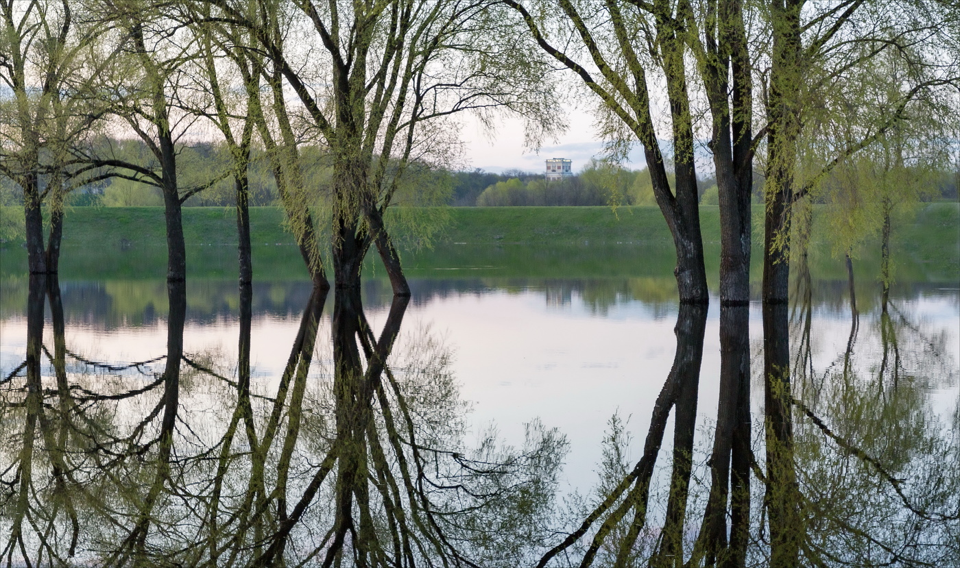 Деревья отражаются в воде...