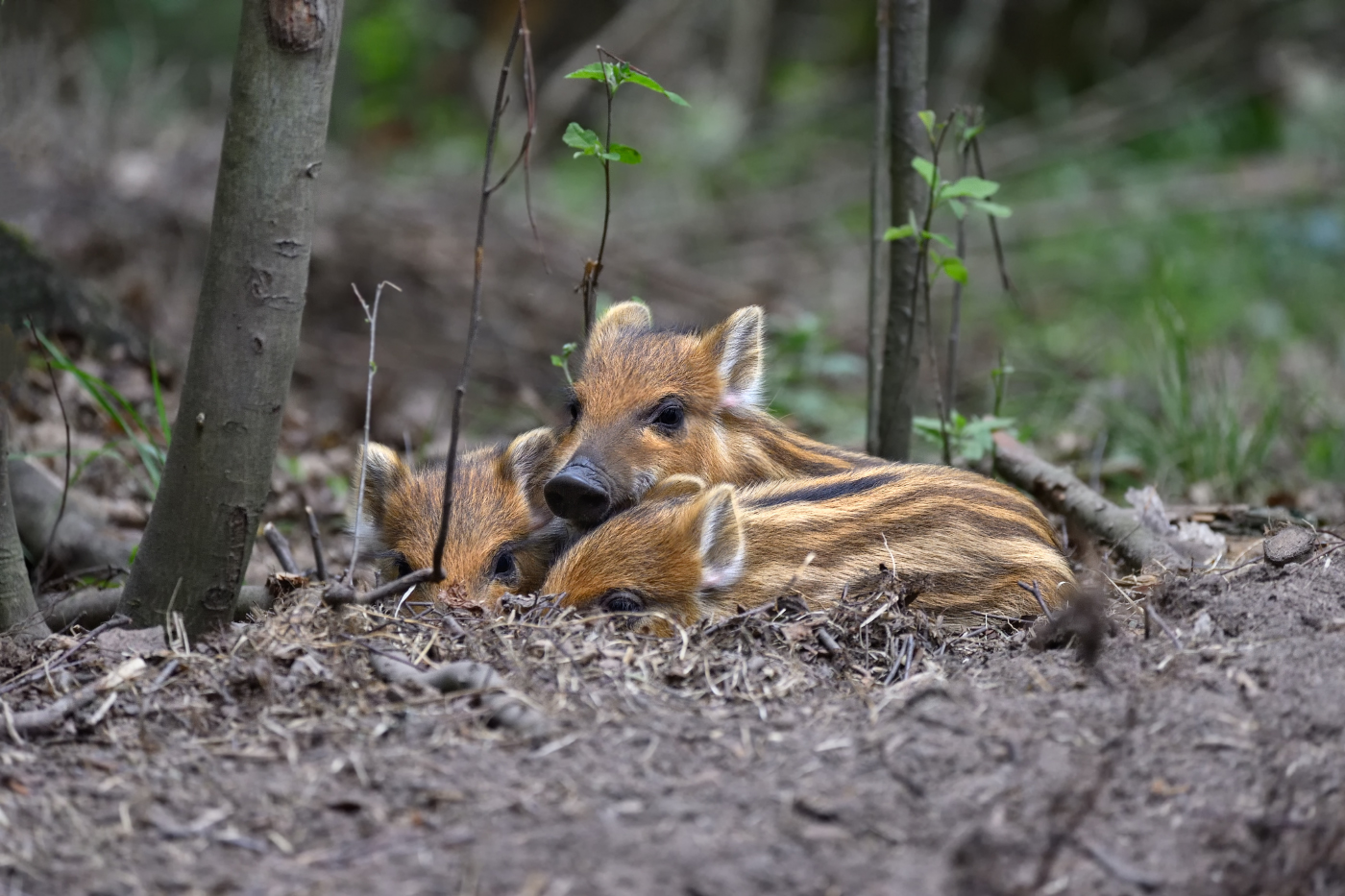 уютное местечко