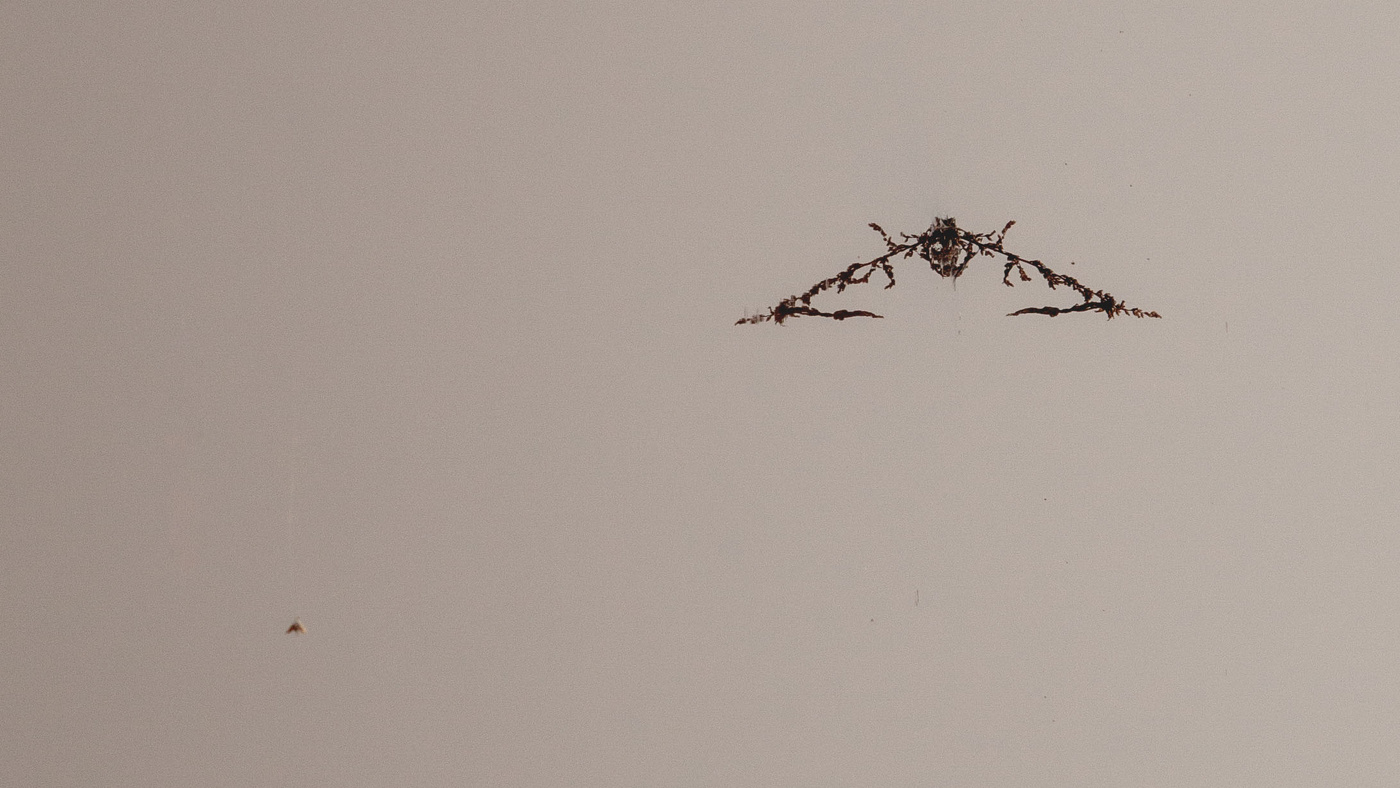 Жизнь вокруг