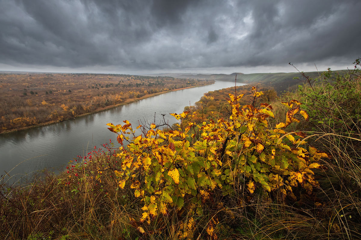Октябрь над Донцом