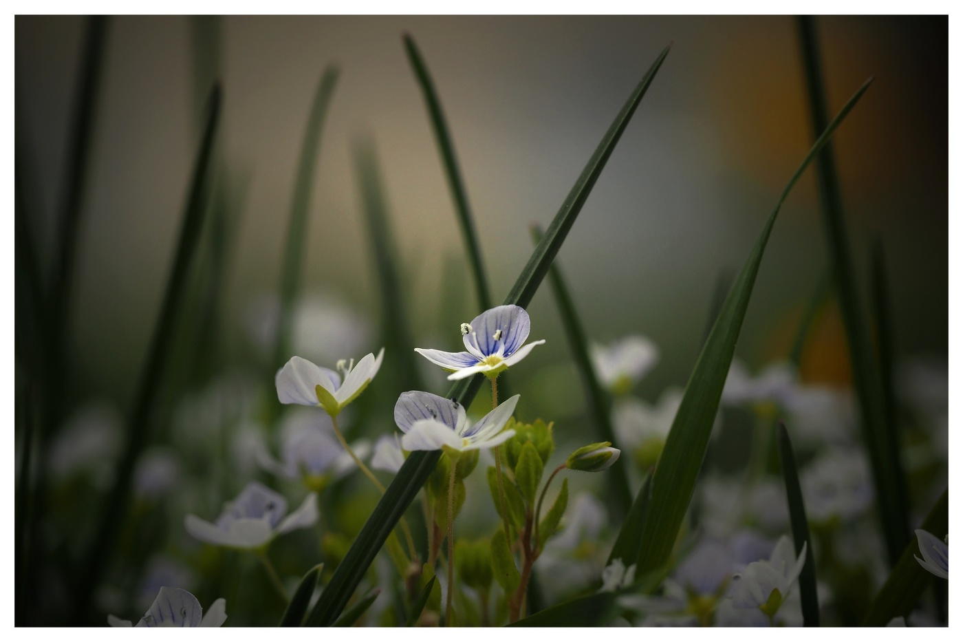 Скоро лето !