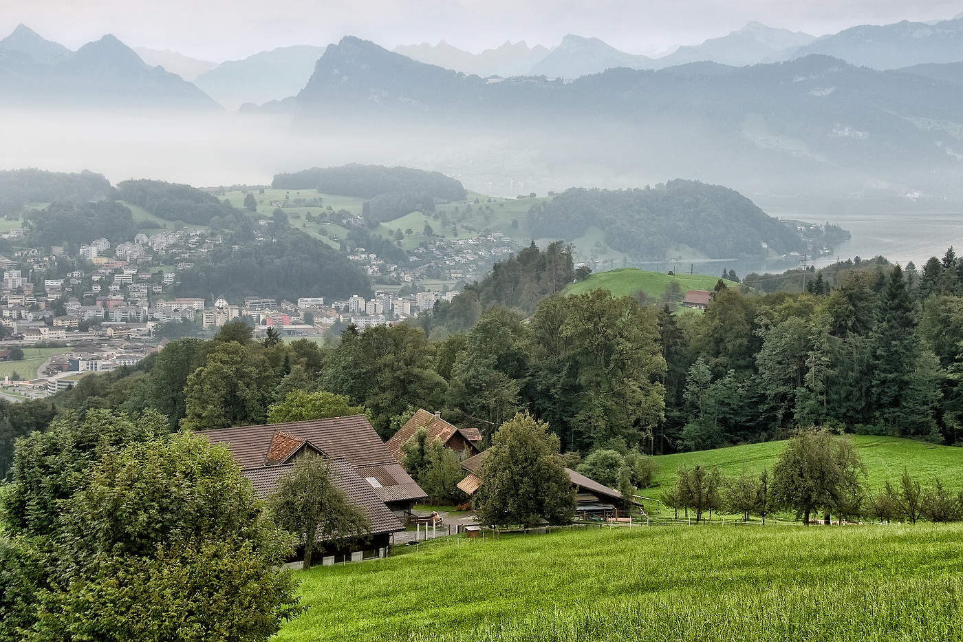 В ожидании солнца