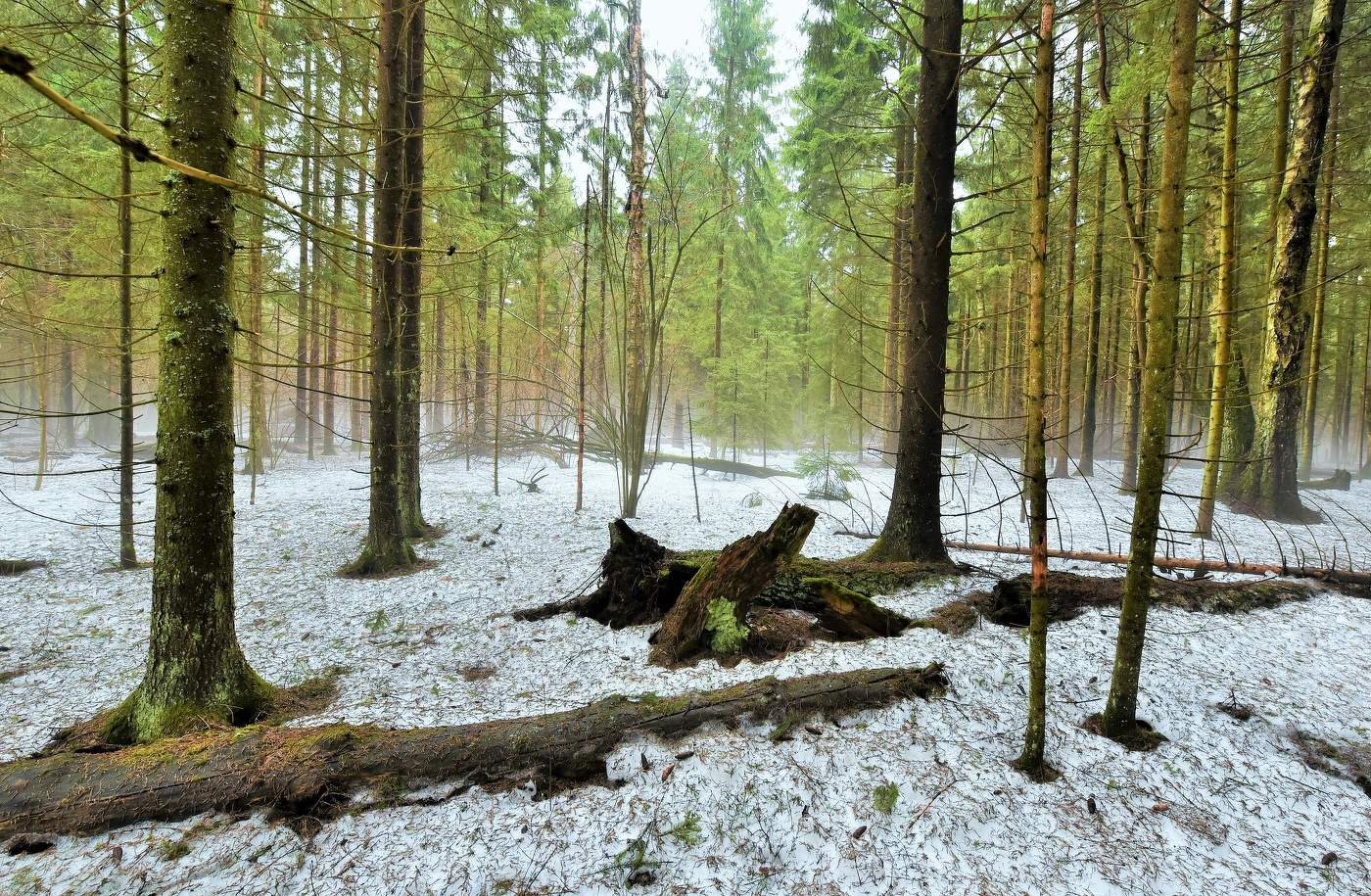 "Не жалея силы, пишет март пейзажи ..."
