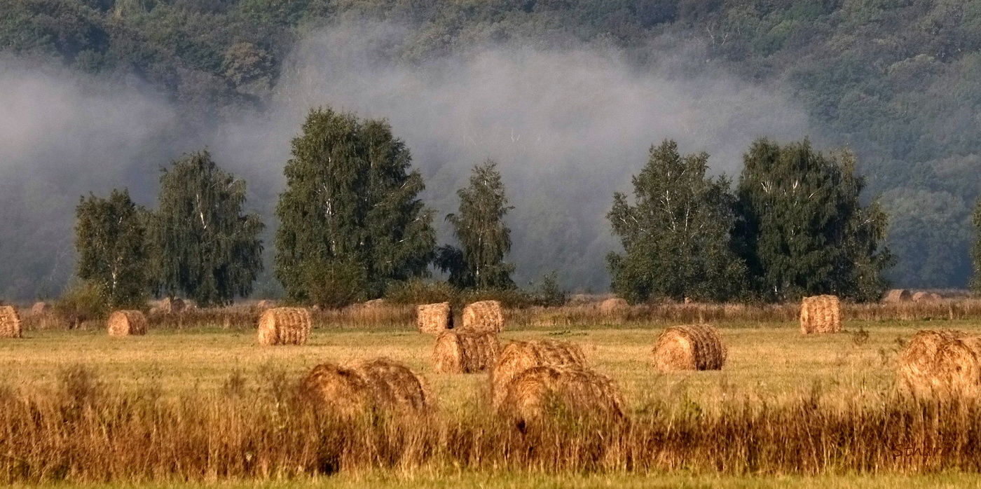 В сентябре.